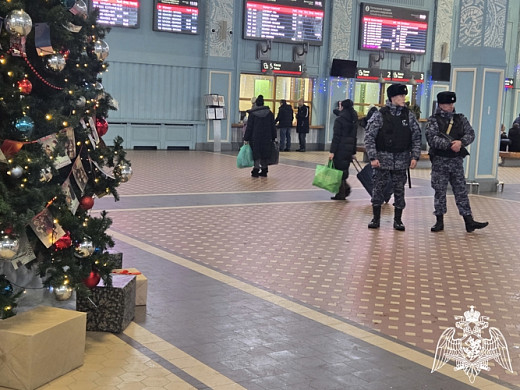 В Ивановской области порядок в новогодние праздники обеспечат  более 1450 росгвардейцев